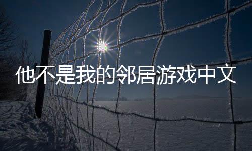 他不是我的邻居游戏中文版