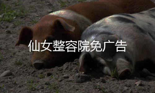 仙女整容院免广告