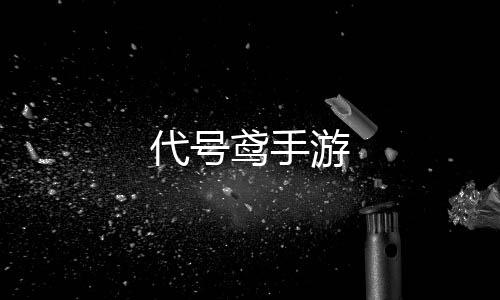 代号鸢手游