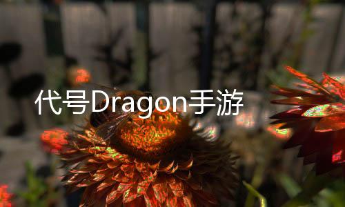 代号Dragon手游