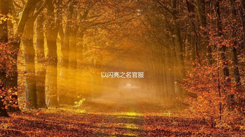 以闪亮之名官服