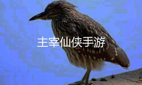 主宰仙侠手游