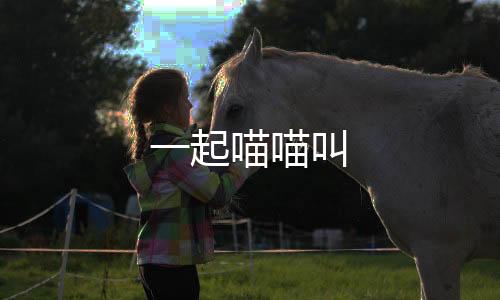 一起喵喵叫