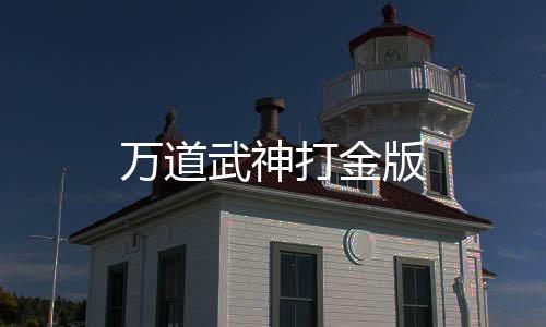 万道武神打金版