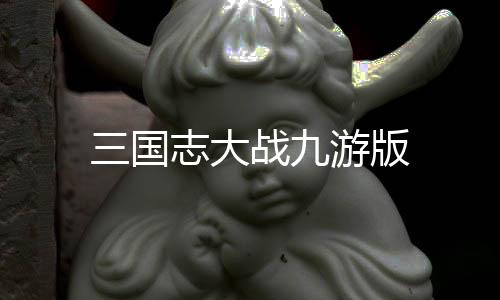 三国志大战九游版