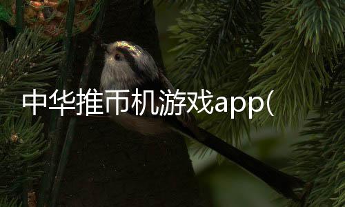 中华推币机游戏app(中华推金币)