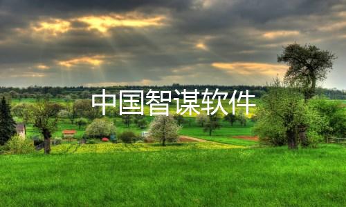 中国智谋软件