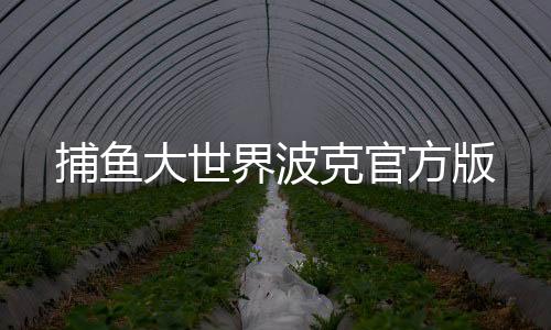 捕鱼大世界波克官方版