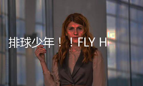 排球少年！！FLY HIGH台服