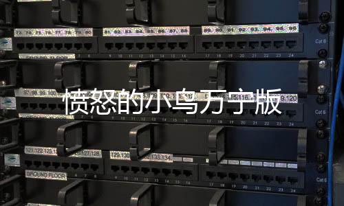 愤怒的小鸟万宁版