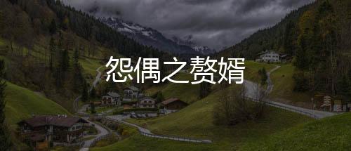 怨偶之赘婿