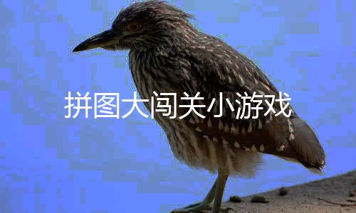 拼图大闯关小游戏