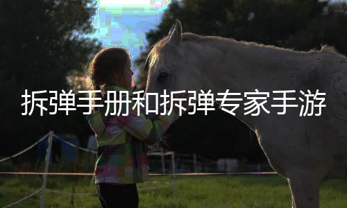 拆弹手册和拆弹专家手游