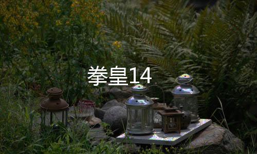拳皇14
