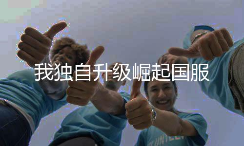 我独自升级崛起国服