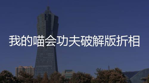 我的喵会功夫破解版折相思