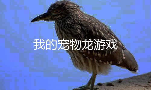 我的宠物龙游戏