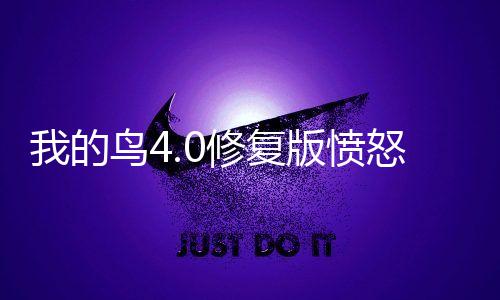 我的鸟4.0修复版愤怒的小鸟pvz版