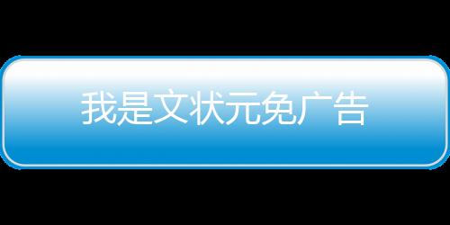 我是文状元免广告