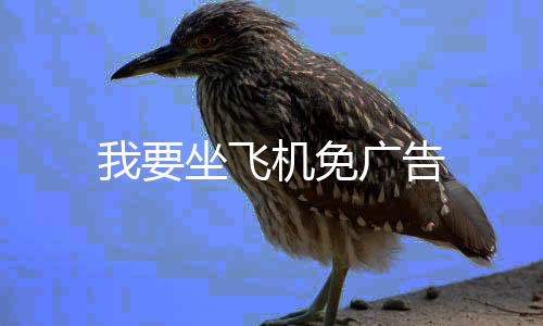 我要坐飞机免广告