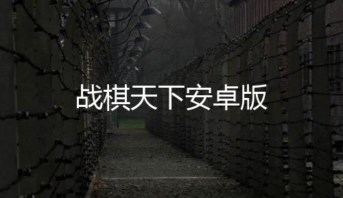 战棋天下安卓版