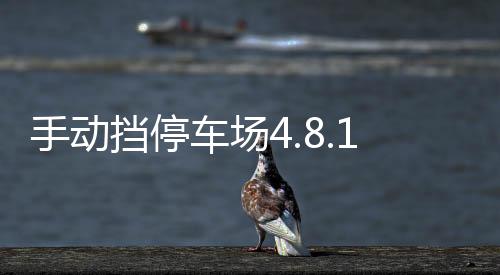 手动挡停车场4.8.15.1破解版