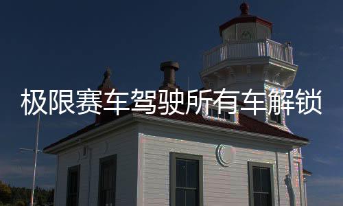 极限赛车驾驶所有车解锁版(Extreme Car Driving Simulator)