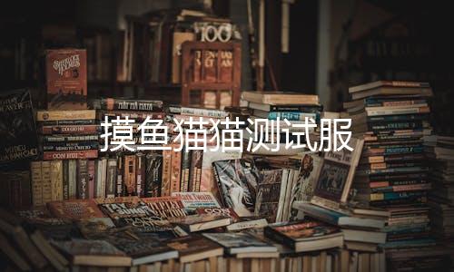 摸鱼猫猫测试服