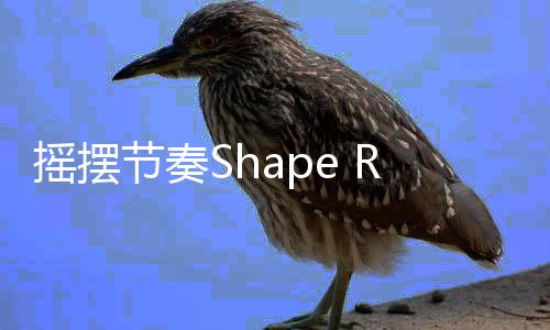 摇摆节奏Shape Rhythm免广告