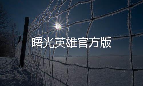 曙光英雄官方版