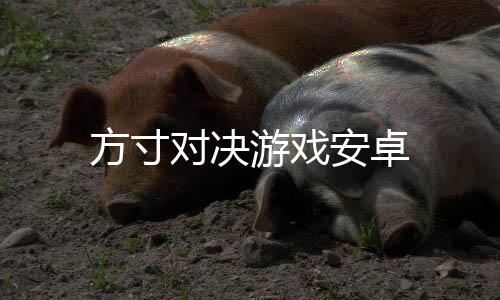 方寸对决游戏安卓