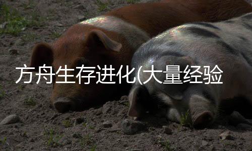 方舟生存进化(大量经验货币+武器耐久不减)