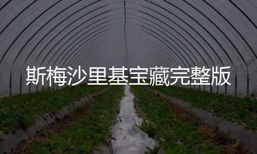 斯梅沙里基宝藏完整版