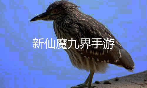 新仙魔九界手游