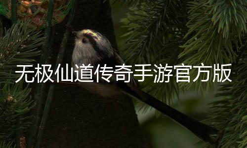 无极仙道传奇手游官方版