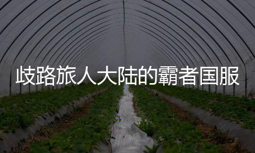 歧路旅人大陆的霸者国服