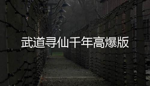 武道寻仙千年高爆版