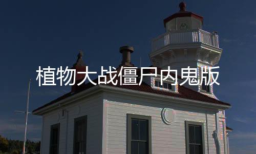 植物大战僵尸内鬼版