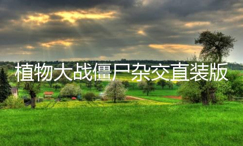 植物大战僵尸杂交直装版