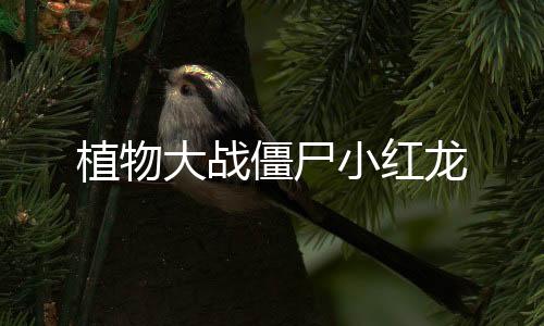 植物大战僵尸小红龙