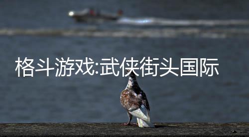 格斗游戏:武侠街头国际服
