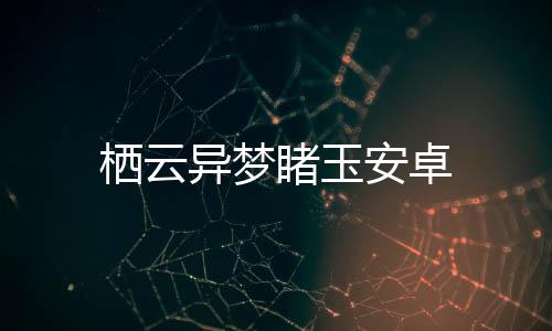 栖云异梦睹玉安卓
