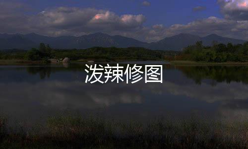 泼辣修图