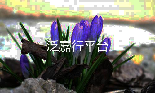 泛嘉行平台