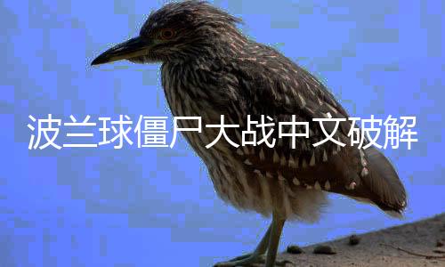 波兰球僵尸大战中文破解版