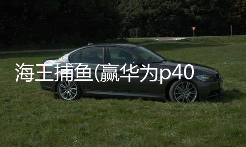 海王捕鱼(赢华为p40)