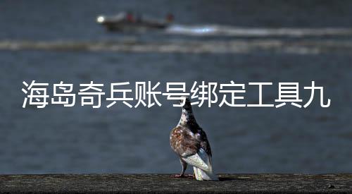 海岛奇兵账号绑定工具九游版
