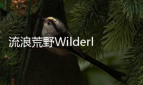 流浪荒野Wilderless免费版