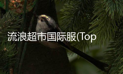 流浪超市国际服(Top castle)