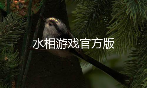 水相游戏官方版